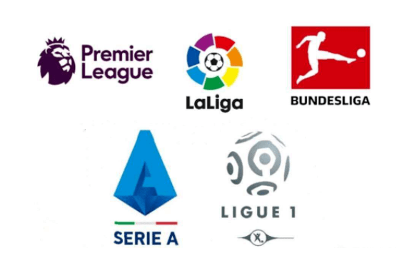 马带来了新 马带来了新